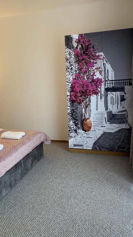 Nasze Kamienice Apartament Rodzinny Rzeszów Exteriör bild